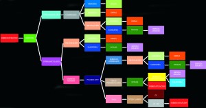Esquema fisiopatologico de la ED